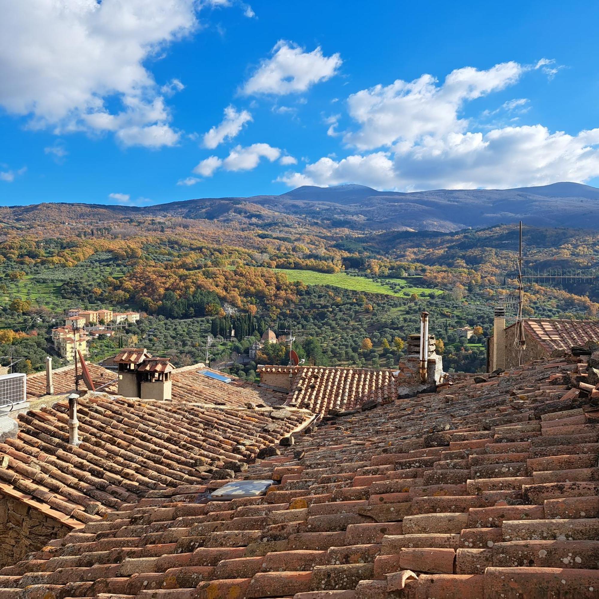 Antica Abitazione Con Vista Montagna Casa Norma * Seggiano